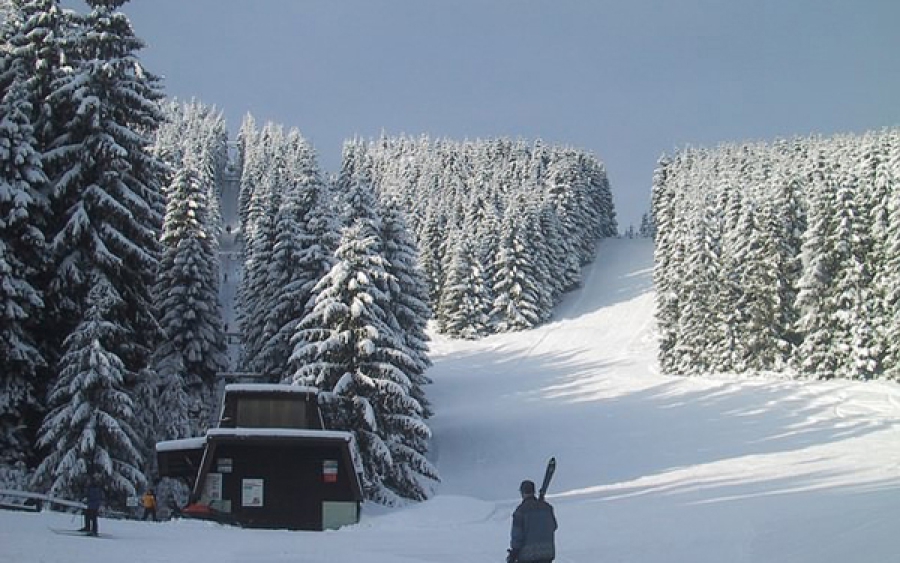Wintersport Ski-Alpinum